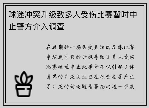 球迷冲突升级致多人受伤比赛暂时中止警方介入调查